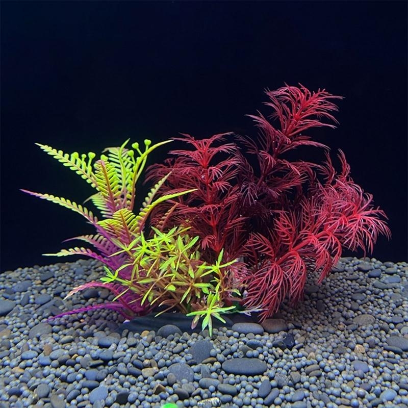 Planted Aquarium For Sale - Decoración de acuario Artificial, planta, decoración