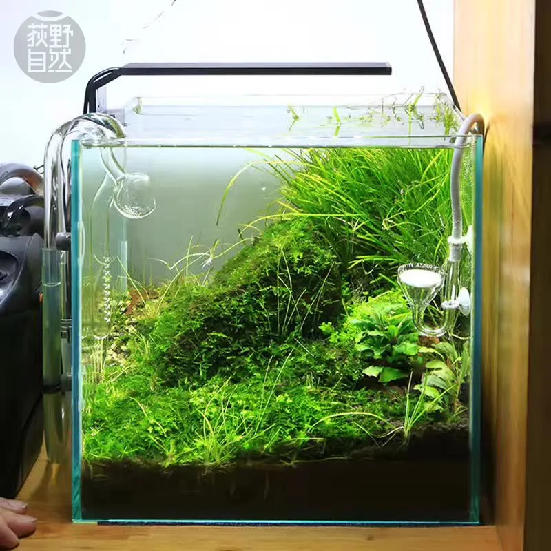 Aquarium Plant Grow Light - Chihiros Serie C Planta estilo ADA