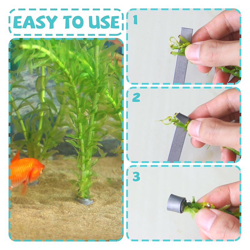 Planted Aquarium For Sale - Nueva oferta: 10 piezas de pesas