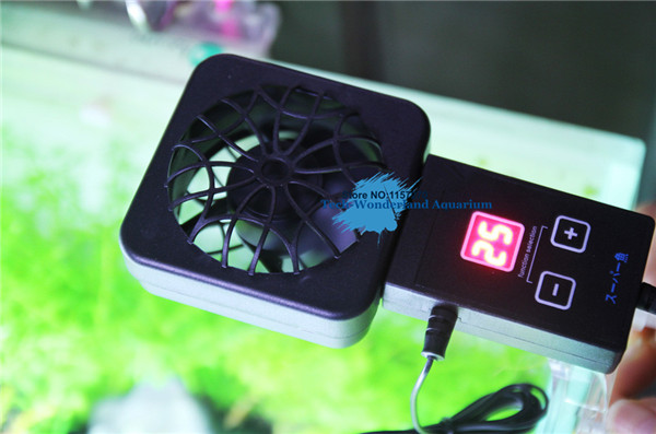 Aquarium Plant Delivery - Mini nano clip para colgar en