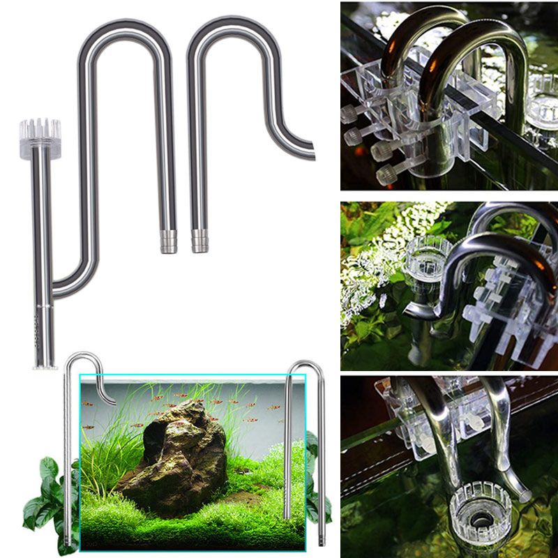 Aquarium Plant Delivery - Tubería de lirio para tanque de