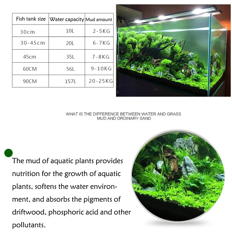 Tanque de peces, agua, hierba, - Aquarium Plant Fertilizer reseña y precio