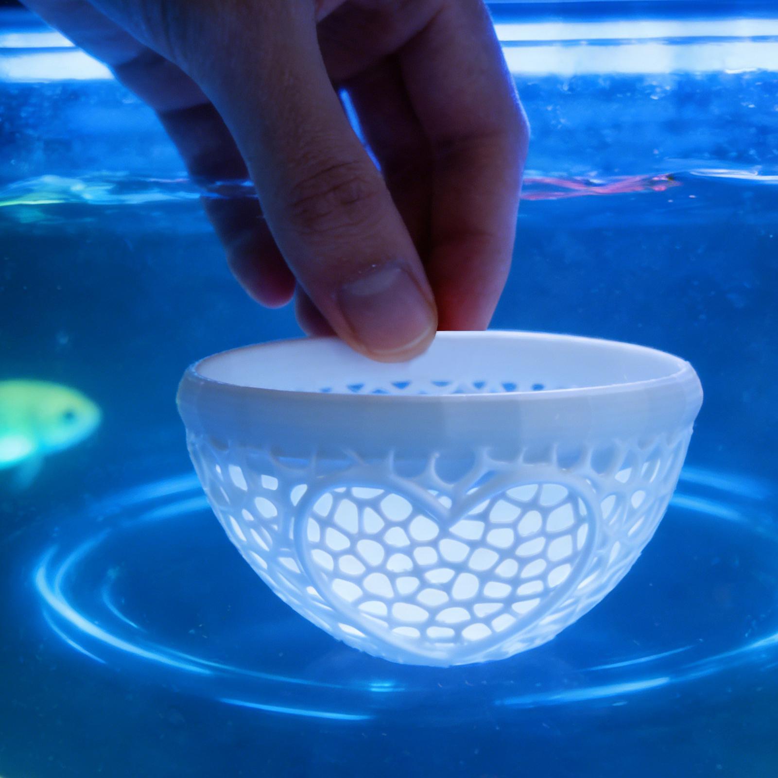 Refugio flotante para betta, h - Planted Aquarium For Betta reseña y precio