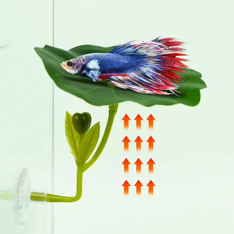 Hamaca de hoja verde para pece - Planted Aquarium For Betta reseña y precio