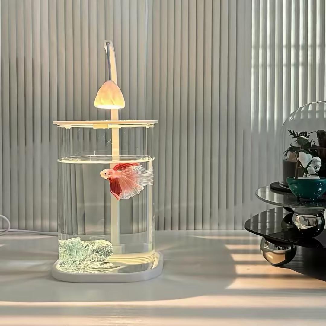 360 °   Pecera Panorámica Tran - Planted Aquarium For Betta reseña y precio