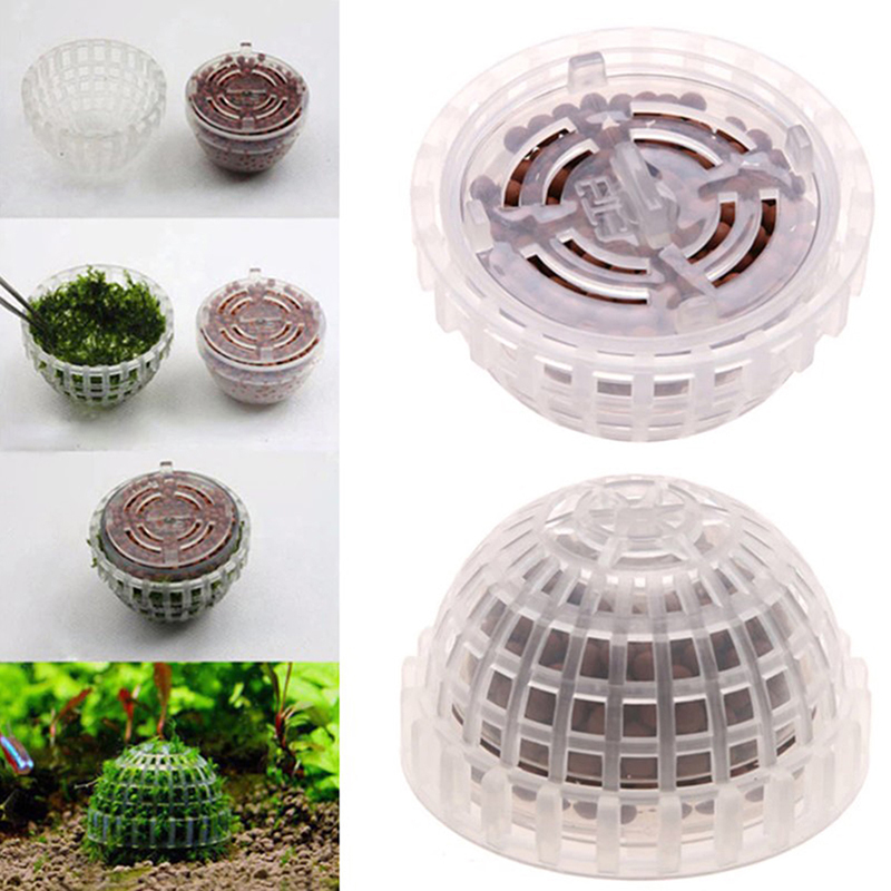 Oferta Especial: Decoración pa - Planted Aquarium For Sale reseña y precio