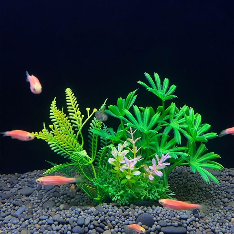 Decoración de acuario Artifici - Planted Aquarium For Sale reseña y precio