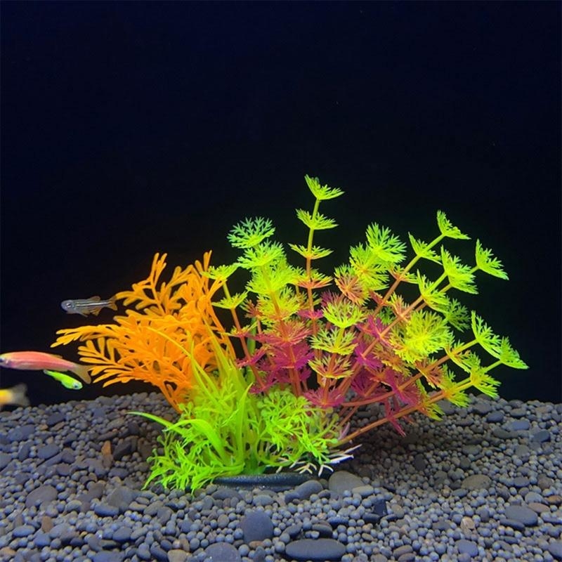 Decoración de acuario Artifici - Planted Aquarium For Sale reseña y precio