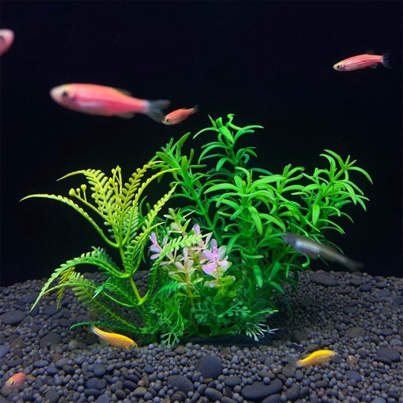 Decoración de acuario Artifici - Planted Aquarium For Sale reseña y precio
