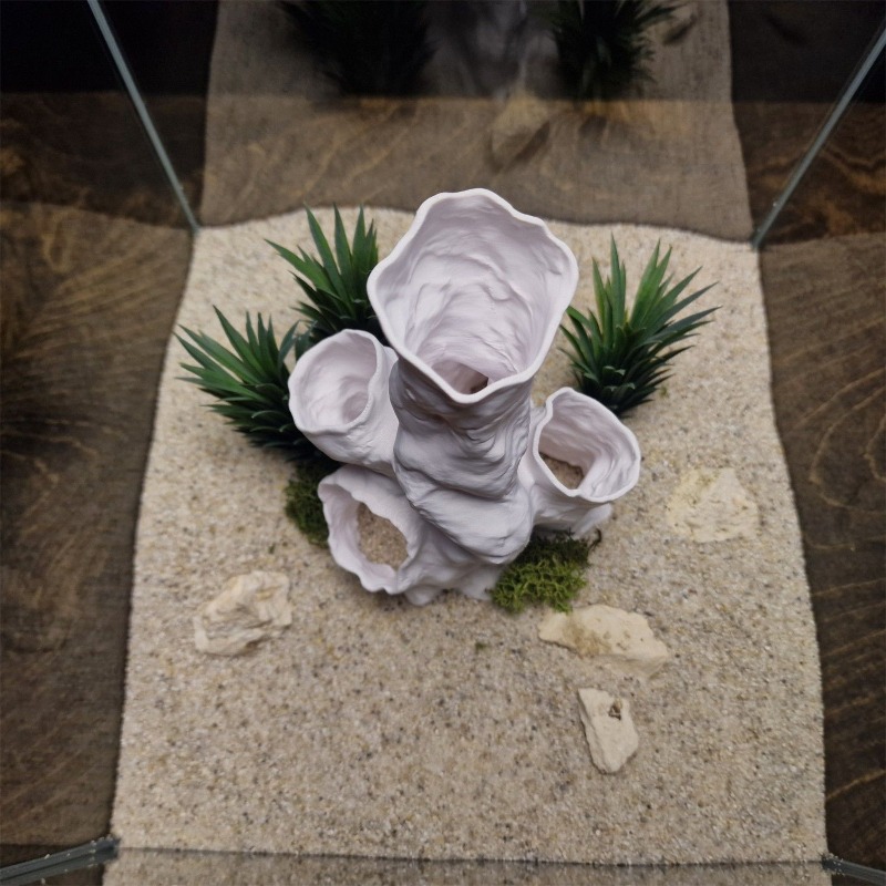 Oferta Especial: Decoración Im - Planted Aquarium For Sale reseña y precio