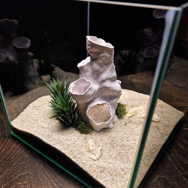 Oferta Especial: Decoración Im - Planted Aquarium For Sale reseña y precio