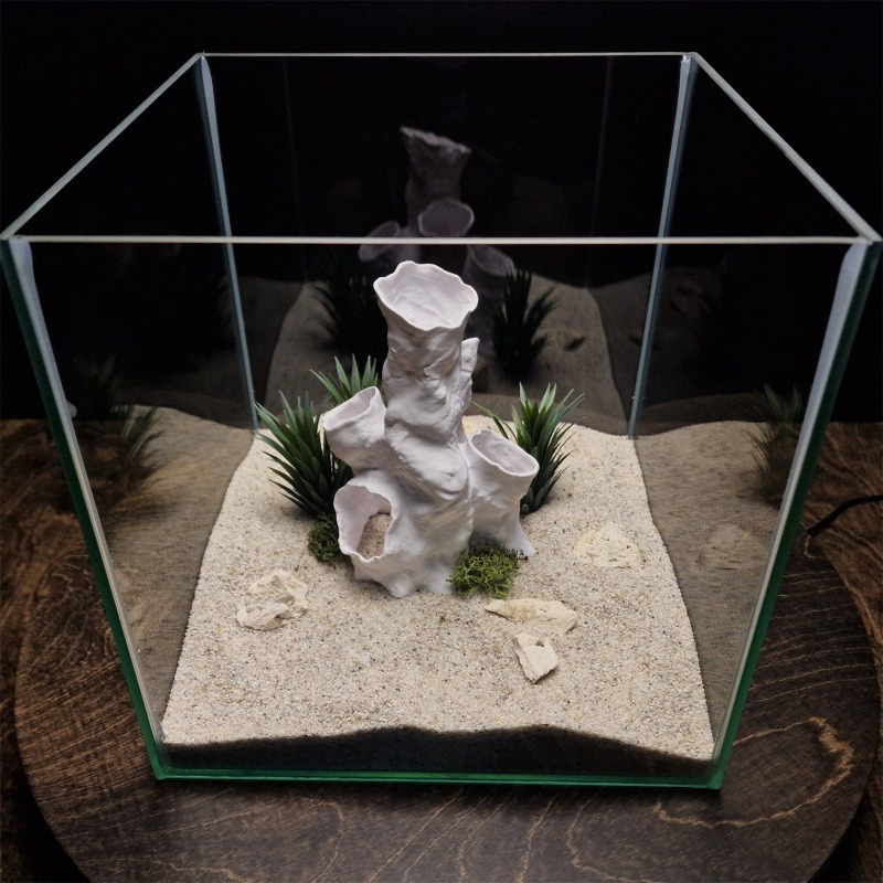 Oferta Especial: Decoración Im - Planted Aquarium For Sale reseña y precio