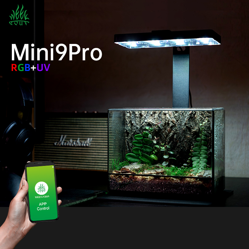 Lámpara de Cultivo LED para Pl - Planted Aquarium For Sale reseña y precio
