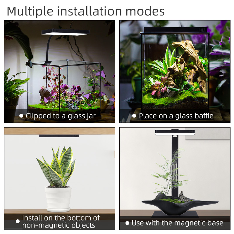 Lámpara de Cultivo LED para Pl - Planted Aquarium For Sale reseña y precio