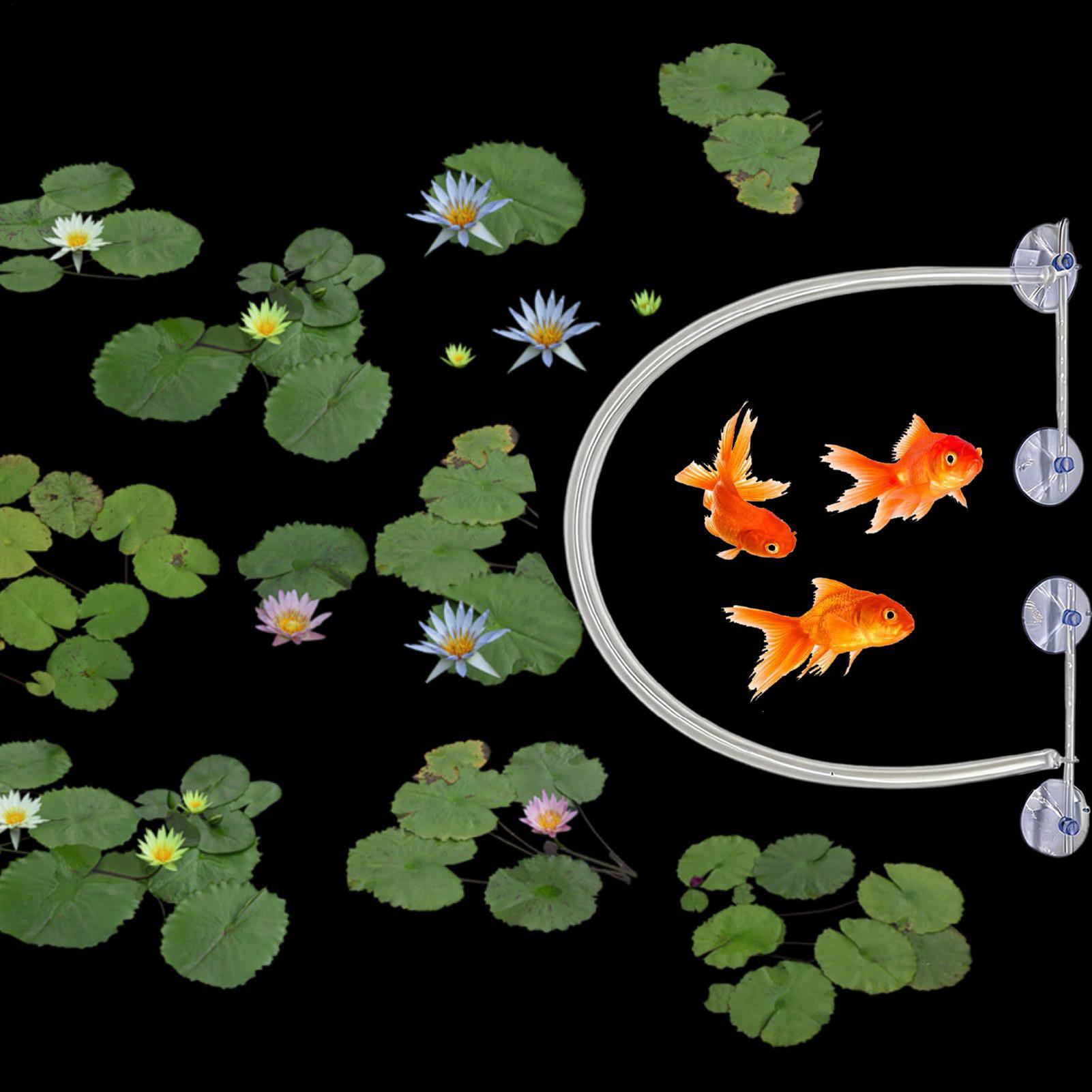 Kit de Valla Flotante para Pla - Planted Aquarium Tank Kit reseña y precio