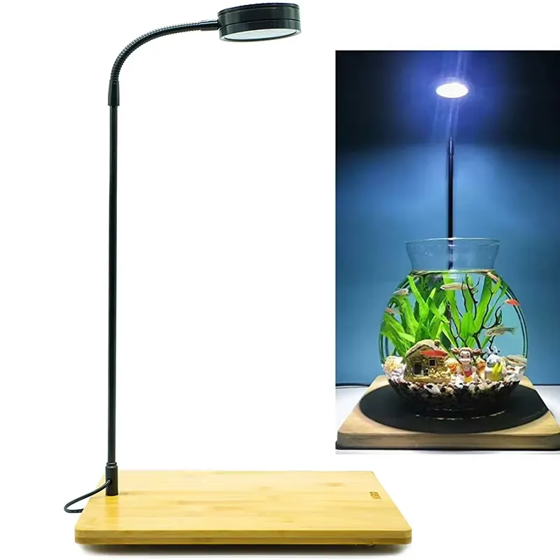 Luz LED de Espectro Completo c - Planted Aquarium For Betta reseña y precio