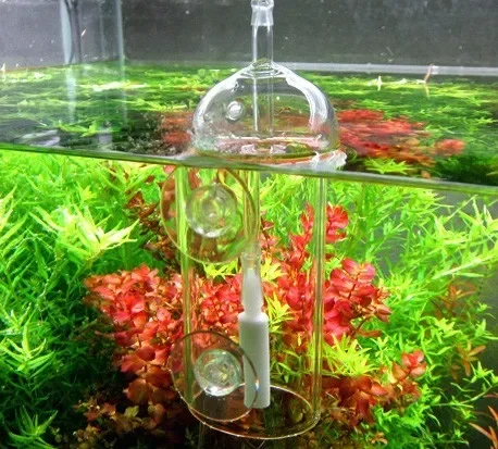 Dispositivo VIV Do, cilindro d - Aquarium Plant Delivery reseña y precio