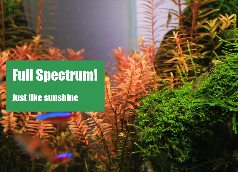 Chihiros Serie C Planta estilo - Aquarium Plant Grow Light reseña y precio
