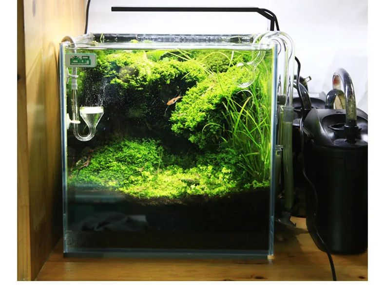 Chihiros Serie C Planta estilo - Aquarium Plant Grow Light reseña y precio