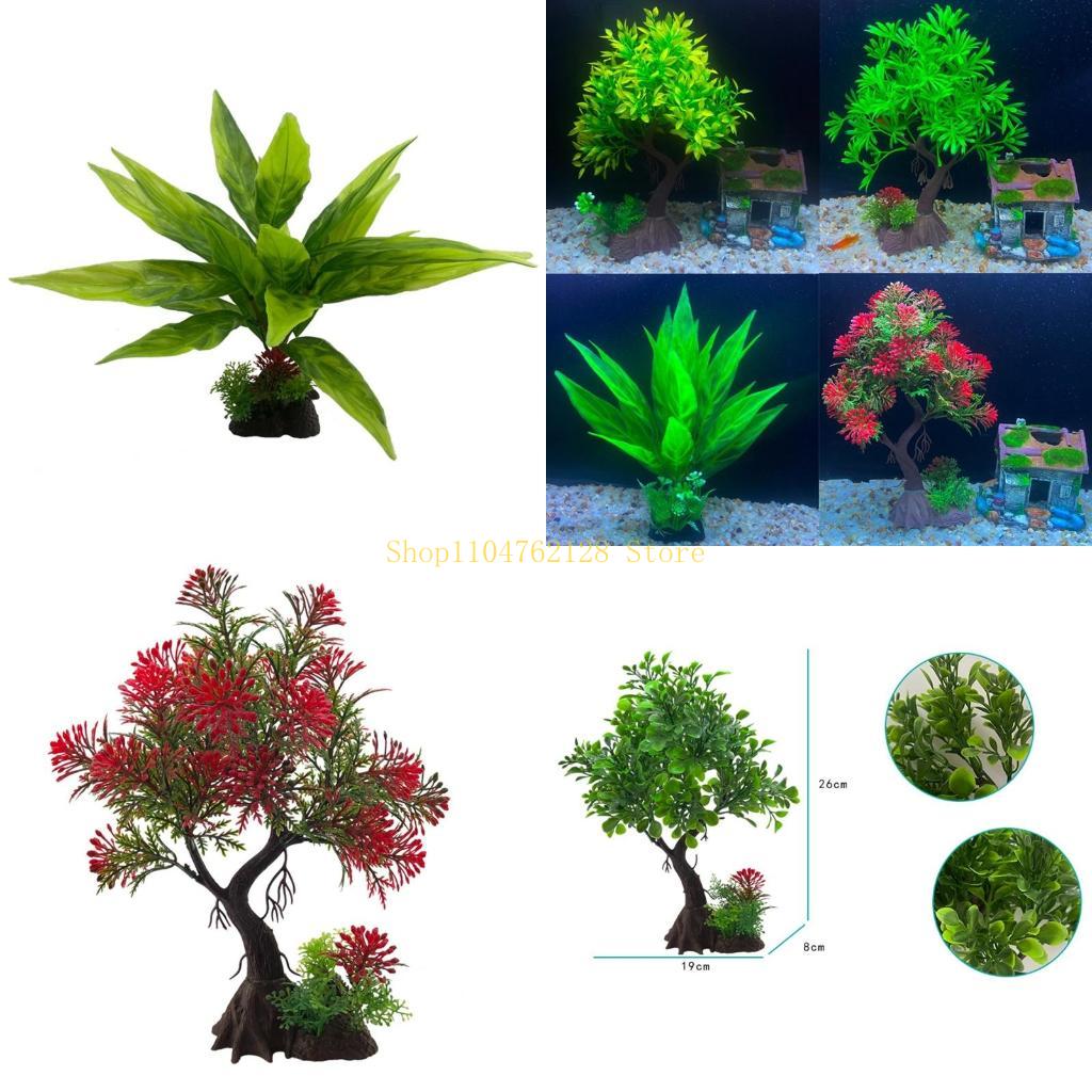 Acuario Plantas Acuáticas Plan - Planted Aquarium For Sale reseña y precio