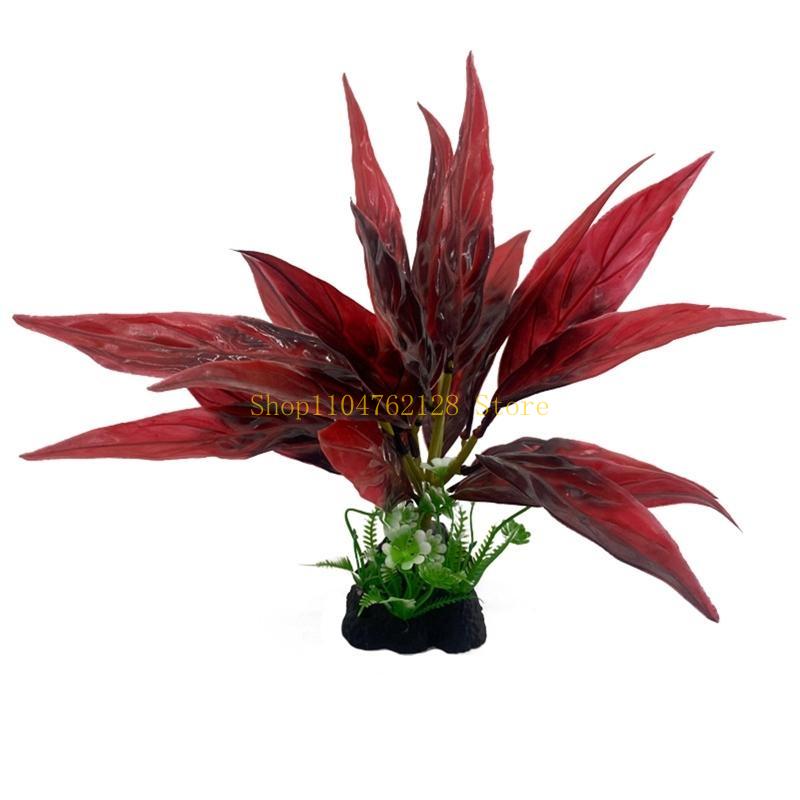 Acuario Plantas Acuáticas Plan - Planted Aquarium For Sale reseña y precio