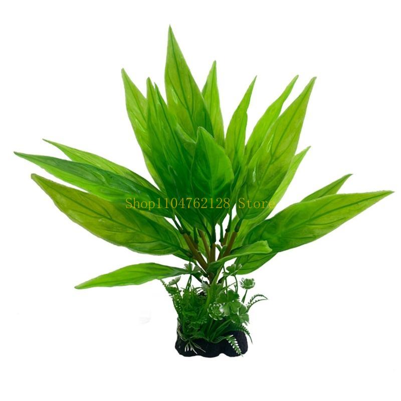 Acuario Plantas Acuáticas Plan - Planted Aquarium For Sale reseña y precio