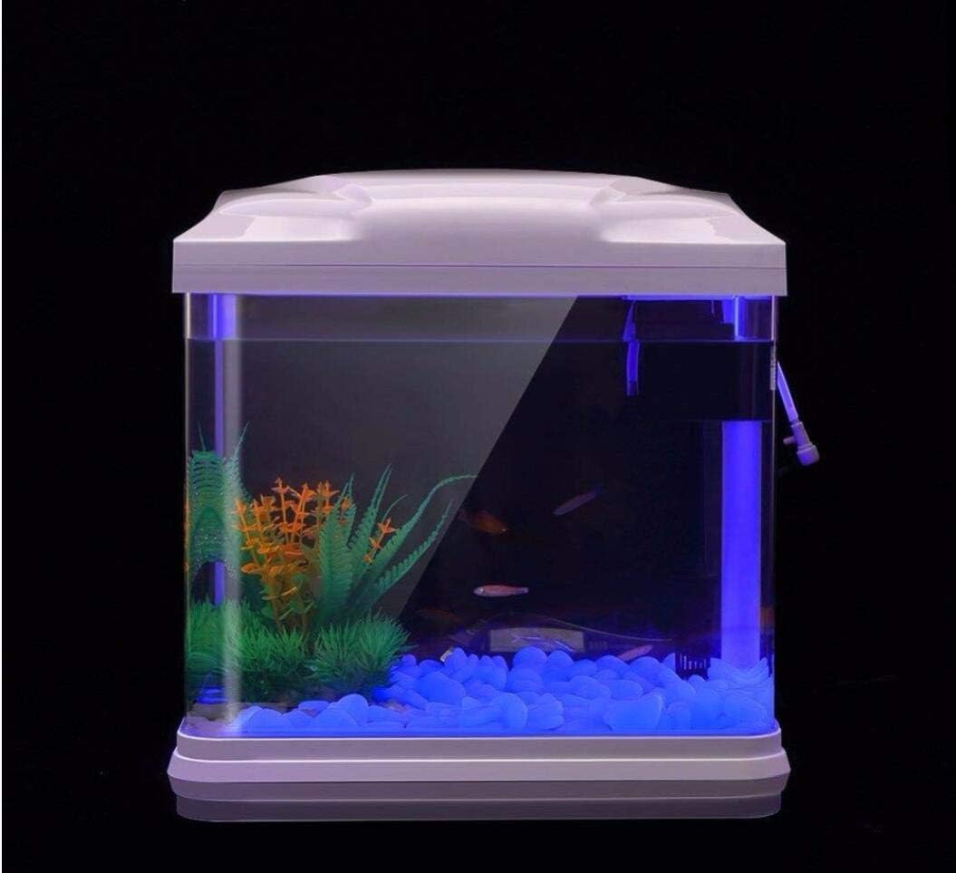 Rocas para pecera, guijarros a - Aquarium Plant Delivery reseña y precio