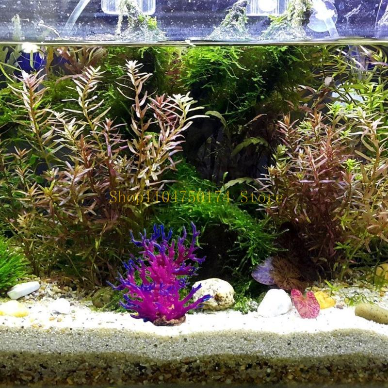 Planta decorativa árbol artifi - Planted Aquarium For Sale reseña y precio