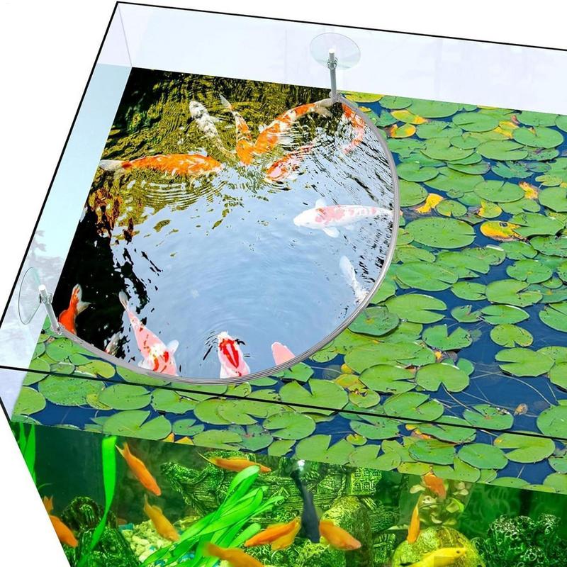 Anillo de alimentación de pece - Aquarium Plant Delivery reseña y precio