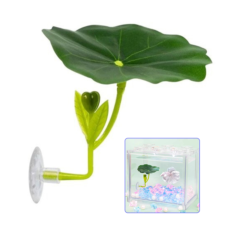 Hamaca de hoja verde para pece - Planted Aquarium For Betta reseña y precio