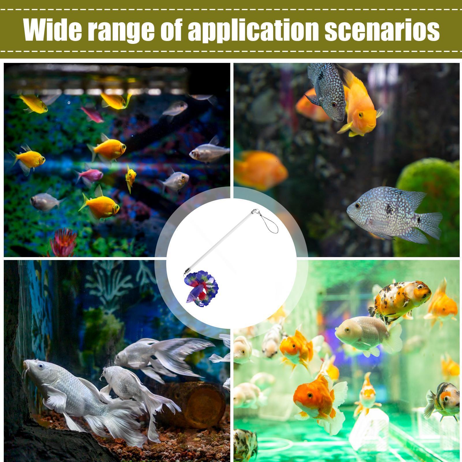 Varita de entrenamiento para p - Planted Aquarium For Betta reseña y precio