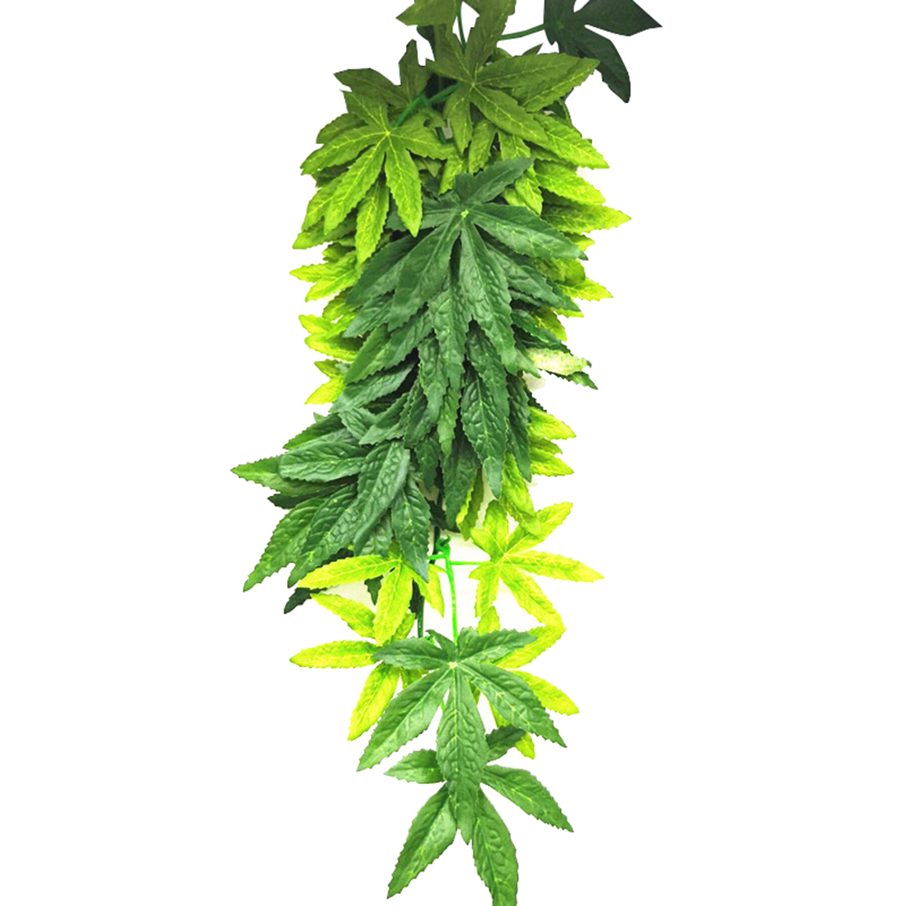 Gran oferta 30/40/50CM acuario - Planted Aquarium For Sale reseña y precio