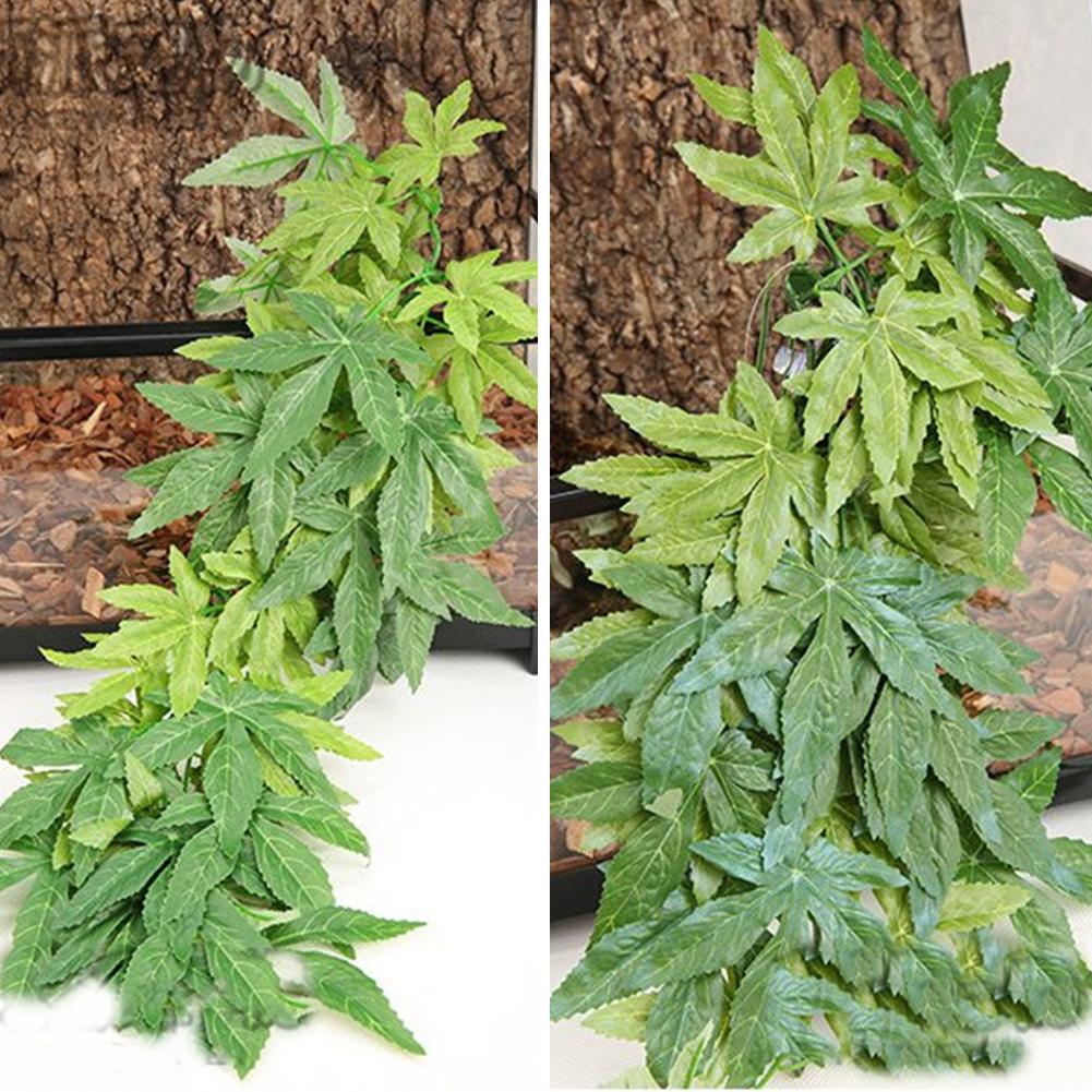 Gran oferta 30/40/50CM acuario - Planted Aquarium For Sale reseña y precio