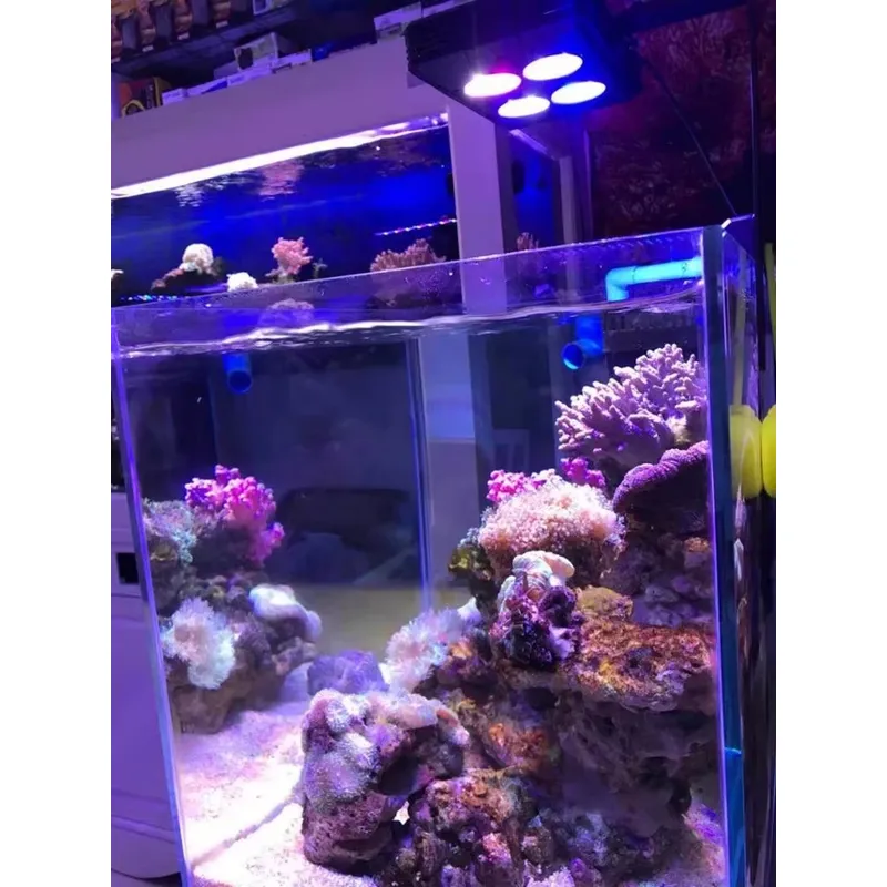 Gako A052 52w, Lámpara LED par - Planted Aquarium For Sale reseña y precio